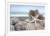 Crescent Beach Shells 5-Alan Blaustein-Framed Photographic Print