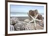 Crescent Beach Shells 5-Alan Blaustein-Framed Photographic Print