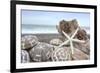 Crescent Beach Shells 5-Alan Blaustein-Framed Photographic Print