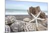 Crescent Beach Shells 5-Alan Blaustein-Mounted Photographic Print