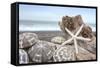 Crescent Beach Shells 5-Alan Blaustein-Framed Stretched Canvas