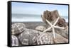 Crescent Beach Shells 5-Alan Blaustein-Framed Stretched Canvas