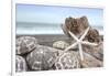 Crescent Beach Shells 5-Alan Blaustein-Framed Photographic Print