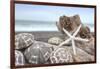 Crescent Beach Shells 5-Alan Blaustein-Framed Photographic Print