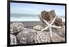 Crescent Beach Shells 5-Alan Blaustein-Framed Photographic Print