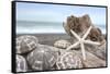 Crescent Beach Shells 5-Alan Blaustein-Framed Stretched Canvas