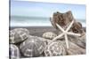 Crescent Beach Shells 5-Alan Blaustein-Stretched Canvas