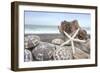 Crescent Beach Shells 5-Alan Blaustein-Framed Photographic Print