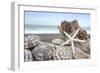 Crescent Beach Shells 5-Alan Blaustein-Framed Photographic Print