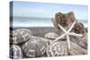 Crescent Beach Shells 5-Alan Blaustein-Stretched Canvas