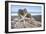 Crescent Beach Shells 6-Alan Blaustein-Framed Photographic Print