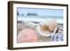 Crescent Beach Shells 9-Alan Blaustein-Framed Photographic Print