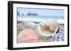 Crescent Beach Shells 9-Alan Blaustein-Framed Photographic Print