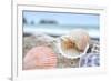 Crescent Beach Shells 9-Alan Blaustein-Framed Photographic Print