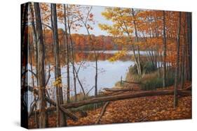 Crescent Lake-Bruce Dumas-Stretched Canvas