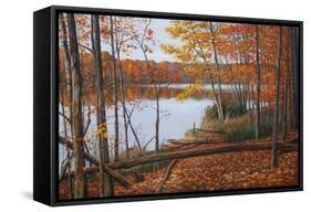 Crescent Lake-Bruce Dumas-Framed Stretched Canvas