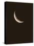 Crescent Moon-David Nunuk-Stretched Canvas