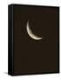 Crescent Moon-David Nunuk-Framed Stretched Canvas