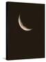 Crescent Moon-David Nunuk-Stretched Canvas