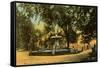 Crescent Park, Grand Rapids, Michigan-null-Framed Stretched Canvas