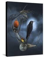 Crescent Raven Moon-Art and a Little Magic-Stretched Canvas