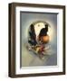 Crescent Shadow-Art and a Little Magic-Framed Giclee Print