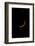 Cresent Sun Solar Eclipse August 2017-Vincent James-Framed Photographic Print