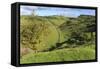 Cressbrook Dale National Nature Reserve in Spring, Elevated View, Peak District National Park-Eleanor Scriven-Framed Stretched Canvas