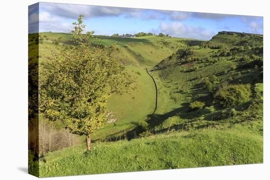 Cressbrook Dale National Nature Reserve in Spring, Elevated View, Peak District National Park-Eleanor Scriven-Stretched Canvas