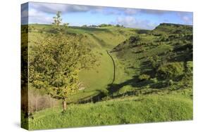 Cressbrook Dale National Nature Reserve in Spring, Elevated View, Peak District National Park-Eleanor Scriven-Stretched Canvas