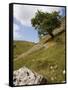 Cressbrook Dale, White Peak, Peak District National Park, Derbyshire, England, United Kingdom-White Gary-Framed Stretched Canvas