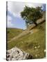 Cressbrook Dale, White Peak, Peak District National Park, Derbyshire, England, United Kingdom-White Gary-Stretched Canvas