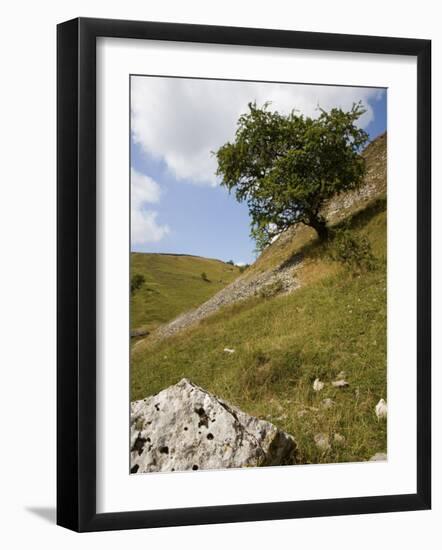 Cressbrook Dale, White Peak, Peak District National Park, Derbyshire, England, United Kingdom-White Gary-Framed Photographic Print