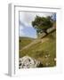 Cressbrook Dale, White Peak, Peak District National Park, Derbyshire, England, United Kingdom-White Gary-Framed Photographic Print