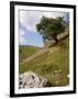 Cressbrook Dale, White Peak, Peak District National Park, Derbyshire, England, United Kingdom-White Gary-Framed Photographic Print