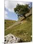 Cressbrook Dale, White Peak, Peak District National Park, Derbyshire, England, United Kingdom-White Gary-Mounted Photographic Print