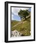 Cressbrook Dale, White Peak, Peak District National Park, Derbyshire, England, United Kingdom-White Gary-Framed Photographic Print