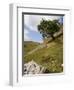 Cressbrook Dale, White Peak, Peak District National Park, Derbyshire, England, United Kingdom-White Gary-Framed Photographic Print