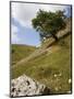 Cressbrook Dale, White Peak, Peak District National Park, Derbyshire, England, United Kingdom-White Gary-Mounted Photographic Print