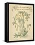 Cressy Brook's Green Side/Forget Me Not Written and Drawn by Walter Crane-null-Framed Stretched Canvas