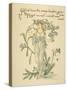 Cressy Brook's Green Side/Forget Me Not Written and Drawn by Walter Crane-null-Stretched Canvas