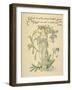 Cressy Brook's Green Side/Forget Me Not Written and Drawn by Walter Crane-null-Framed Photographic Print