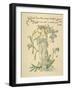 Cressy Brook's Green Side/Forget Me Not Written and Drawn by Walter Crane-null-Framed Photographic Print