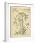 Cressy Brook's Green Side/Forget Me Not Written and Drawn by Walter Crane-null-Framed Photographic Print