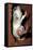 Crest-Tailed Marsupial Rat with Three-null-Framed Stretched Canvas