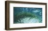 Crest-Margaret Juul-Framed Giclee Print