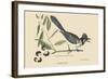 Crested Blue Jay-Mark Catesby-Framed Art Print