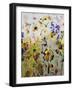 Crested Butte Profusion-Shirley Novak-Framed Art Print