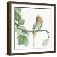 Crested Cockatoo-Chris Paschke-Framed Art Print