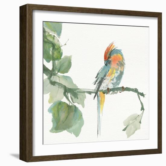 Crested Cockatoo-Chris Paschke-Framed Art Print